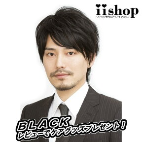 ★専用ソフトネットとの併用で医療用としてもおすすめ！　【メンズウィッグ　レビューを書いてWIGケアセットGET♪】ラパンドアールスタンダードショート5786