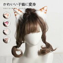 コスプレ道具 5色 猫耳 ヘアクリップ 立ち耳約5cm 可愛い猫 子猫 猫耳 ネコ耳 猫 コスプレ 悪魔 吸血鬼 ハロウィン 仮装 萌えにゃんこ ねこ ネコミミ ねこみみ ケモミミ髪飾り 可愛い 偽耳 アニマル 動物 コスチューム お遊戯 仮装 もふもふ イベント パーティー