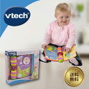 VTech Peek a Boo Book いないいないばぁブック 0歳1歳 2歳 絵本 読み聞かせ 本 英語 知育玩具 おもちゃ 発音 ネイティブ イングリッ...