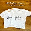 出産祝い 男の子 女の子 1歳 誕生日 親子 で おそろい / アイスクリーム Sigle×Double プリント / Tシャツ 2枚組 ギフト セット 【 プレゼント 】【 ギフト 】