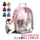 ペットリュック 猫 犬 リュック ペット 透明 おしゃれ キャリーバッグ 大型猫 通院 旅行 ペットキャリーバッグ 小型犬 ペットキャリー お出かけ 猫用バッグ...