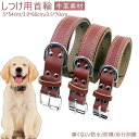 送料無料 犬用首輪 しつけ用首輪 牛革素材 犬の歩行 中型犬 大型犬 痛くない おしゃれ ペット首輪 防水 歩行訓練 牛革首輪 軽い 歩行訓練