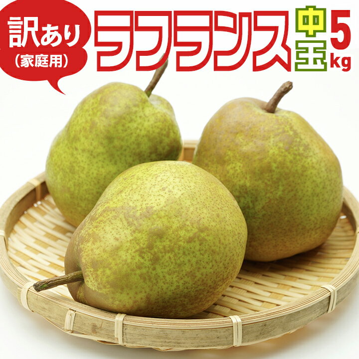 訳あり「山形県産ラ・フランス 小〜中玉 5kg」バラ詰め 押し傷あり 新聞紙で包んで発送 全国送料無料 沖縄離島除く 11月中旬より