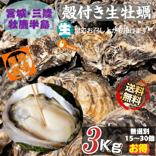 牡蠣 生食OK 三陸・牡鹿半島産 【殻付き生牡蠣 3kg /箱】全国送料無料 沖縄 離島除く