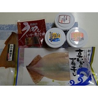 日本海庄内浜、【イカ食べつくしセット】冷凍便、東北関東送料無料でお届します。ホワイトデー 贈答用にどうですか