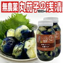 柿渋散布で無農薬栽培「薄皮丸茄子の浅漬け900ml×2本」山形県飯豊町産 置賜名物 東北・関東送料無料 丸なす マルナス