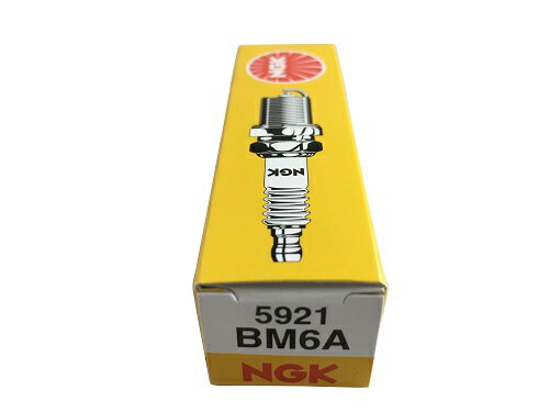 NGKプラグ BM6A