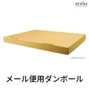 【7月ずっとポイント5倍UP※要エントリー】メール便配送用ダンボール【商品同時購入者限定】