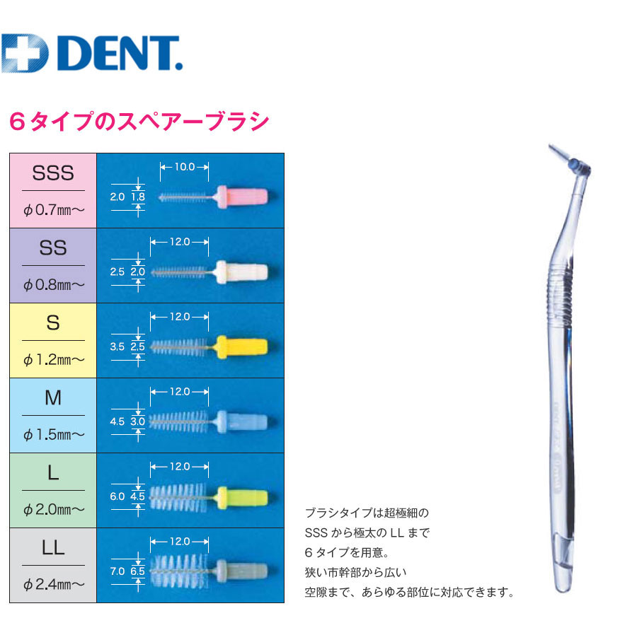 LION �饤���� DENT.EX ���֥֥饷���� 1Ȣ�ڥۥ����1�ܡ��֥饷���å�3�ġ����ѥ���å�1�ġ�