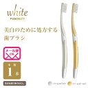 商品名 ルシェロ歯ブラシ W-10 種類 毛のかたさ＝やわらかめ 色調 ハンドル2色＝パールホワイト、パールゴールド ラバー1色＝ホワイト美白のために処方する歯ブラシ。 歯にやさしく効率的にステインを除去できます。 「ルシェロ歯ブラシ W-10」は、歯にやさしく効率的なステイン除去を目的に様々な角度から検証し誕生した、美白のための歯ブラシです。さらに「ルシェロ歯みがきペースト ホワイト」と組み合わせて使用することで「ルシェロ歯ブラシ W-10」の美白効果が最大限に引き出されます。