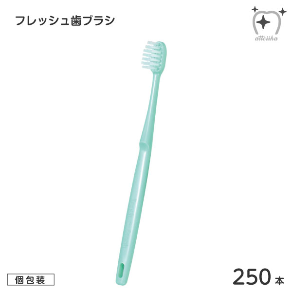 カラー グリーン かたさ ふつう 全長 165mm ヘッド 10×20mm 製造 日本製 商品ID 8016205フレッシュ歯ブラシ エチケット用に、個包装で圧倒的低価格