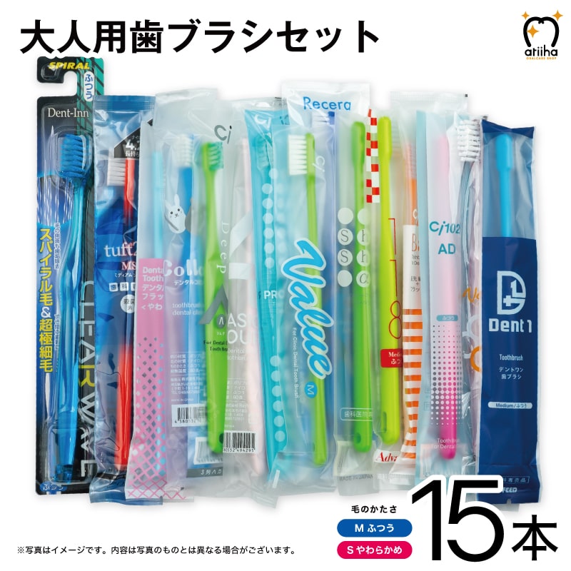 最安値挑戦中 お試しセット メール便送料無料 多彩なタイプの歯ブラシが試せるお得な大人用おまかせ歯ブラシ15本セット 福袋 ファミリー 選べる プロ仕様 1000円ポッキリ