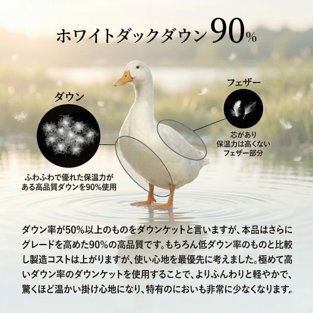 羽毛布団 肌ふとん【1枚】【2枚SETでお得】夏用 送料無料 3年保証 1枚 2枚 選べる シングル 0.3kg 羽毛肌掛け布団 夏布団 洗える ダウンパワー350dp以上 ダウン90％ 涼しい 薄い 羽毛肌布団 国内洗浄 日本製 ダウンケット