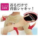 【P3倍SALE中!】ゲルでシャキっと背筋インナー (マイノロジ 日本製 MADEINJAPAN 巻き肩 猫背 軽減 肩甲骨 引き寄せ 立体編立 姿勢補正 アウ...