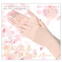 マイノロジ コンシーラーストッキング 魅せ手(手袋 グローブ シワ隠し エイジングケア 日本製 MADEINJAPAN 国産 手のシワ グローブ ストッキング生地 伸縮 シミ シワ 手の血管 気になる スマホ操作OK)