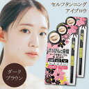 【マラソンSALE★ポイントUP】アイブロウST (眉墨) ダークブラウン ( アイブロウ 眉毛 眉 メイク メイクアップ 眉墨 まゆ 眉毛 まゆげ 自然 落ちない 汗 皮脂 ペンシル 保湿成分 セルフタンニング成分 長時間キープ )