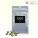 DR.ウエイトダウンS 90粒入 ( ダイエ