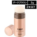 【マラソンSALE★ポイントUP】【2個】スーパーミリオンヘアー ヘアファンデーション スティックタイプ ダークブラウン 3g (SMH ボリュームアップ su...