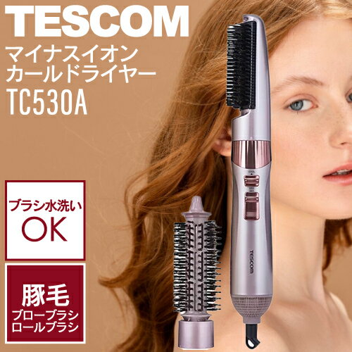 【ポイントUP期間中!】テスコム マイナスイオン カールドライヤー TC530A ブロンズ (ドライヤー TESCOM 大風量 静電気 ツヤ ツバキオイル 髪の...