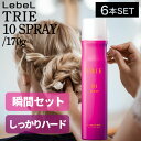 ルベル トリエ10 スプレー 170g (LEREL TRIE サロン専売品 スタイリング ハードスプレー ヘアスプレー)