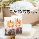 米 もち米 5kg×2袋 白米 こがねもち 岩手県産 餅 糯米令和6年 送料無料 お米 精米 モチゴメ
