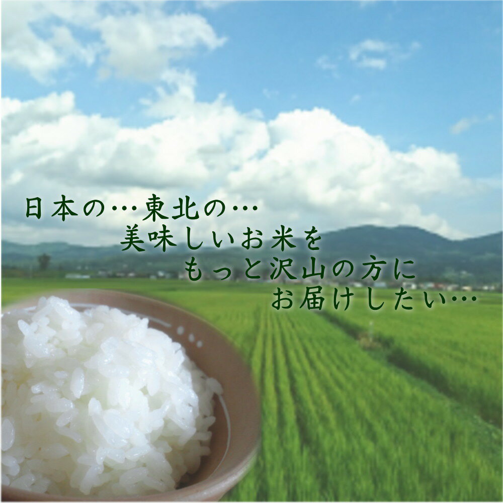 新米 10kg 白米 奥州産 ひとめぼれ 5kg×2袋 送料無料 お米 精米 ライス 令和7年 コメ ご飯 岩手県 3