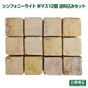 アンティークレンガ 「シンフォニーライト 半マス(ハーフサイズ)12個送料込みセット」(北海道は300円アップ)
