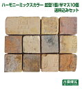 アンティークレンガ 「ハーモニーミックスカラー 並型1個・半マス10個 送料込みセット」 (北海道は300円アップ)