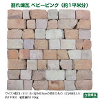 \楽天ランキング入賞/ 国産 刻印入り アンティークレンガ 「割れ煉瓦 ベビーピンク(約1平米分)」(ゆうパック5個分の送料込・北海道は1,500円アップ)
