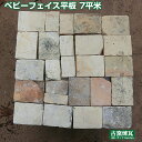 アンティークレンガ 「ベビーフェイス平板(約7平米パレット売り)」59,500円+送料(要見積り)