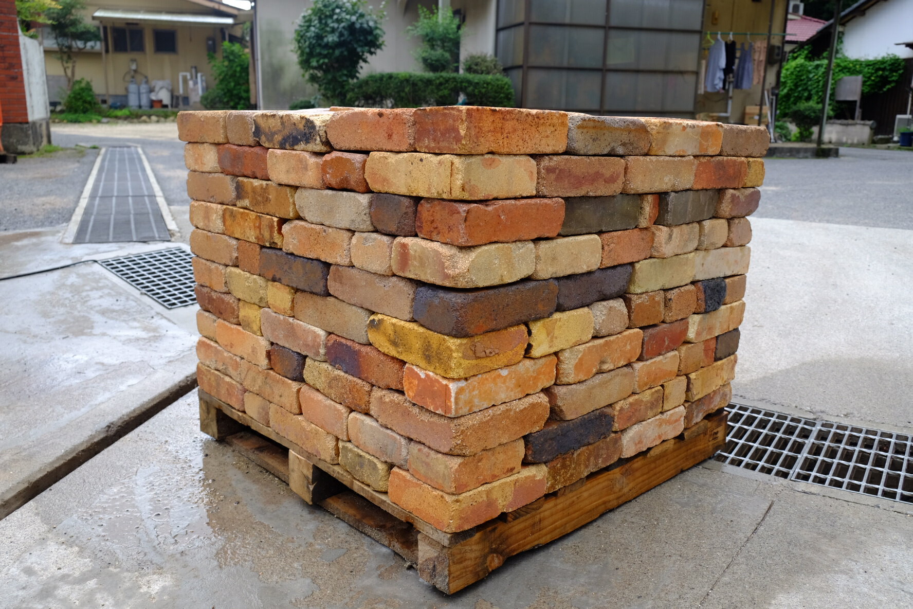 ����ľ�� ʿ�ĥ�󥬡֥��饦��� �Ĳ�������Υ������߸���6.5cm ���١����塦�����������濴�Υ���ƥ��������� �ѥ�å����(���������׸��Ѥ�)