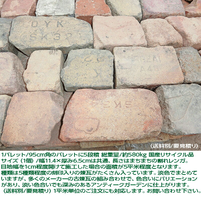 �֥���ƥ���������� ø���֥��� ������� 5ʿ�ƥѥ�å����� ���������Ӹ��Ѥ��