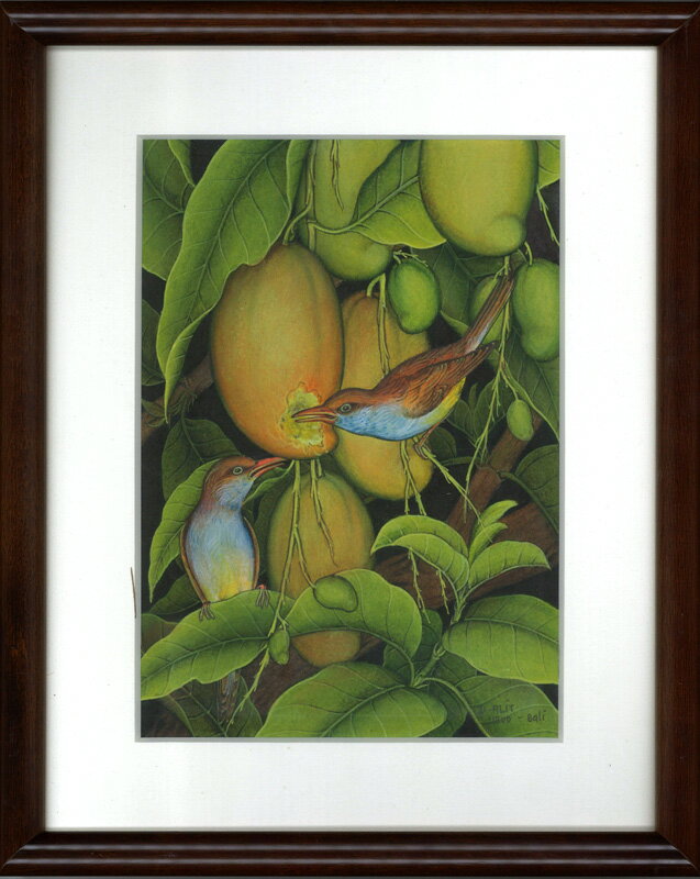 樂天商城 - バリ細密画　マンゴーと鳥（額付）