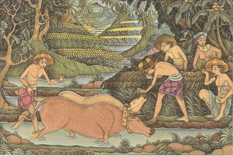 �Х��̩�衡�ı����ʡ�������̱