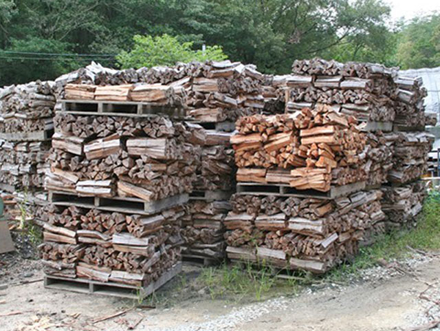 ���������ʥ��30cm 60«�ѥ�åȥ��åȡ��������� �׸��Ѥ���