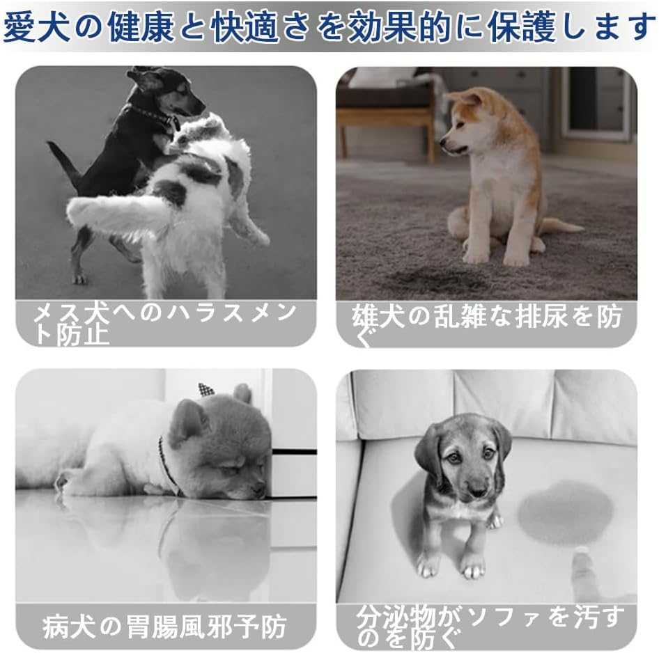 monotoneストア楽天市場店の犬 おむつ 犬のオムツ 犬用 マナーベルト XS~2XL サニタリ マナーバンド 男の子 オムツカバー 犬 マーキング防止 トイレ おしっこ失敗 介護用 防水加工生地 ウェストサイズ調整可能 マーキング防止 介護用 お漏らし対策 オス 男の子｜アングル3