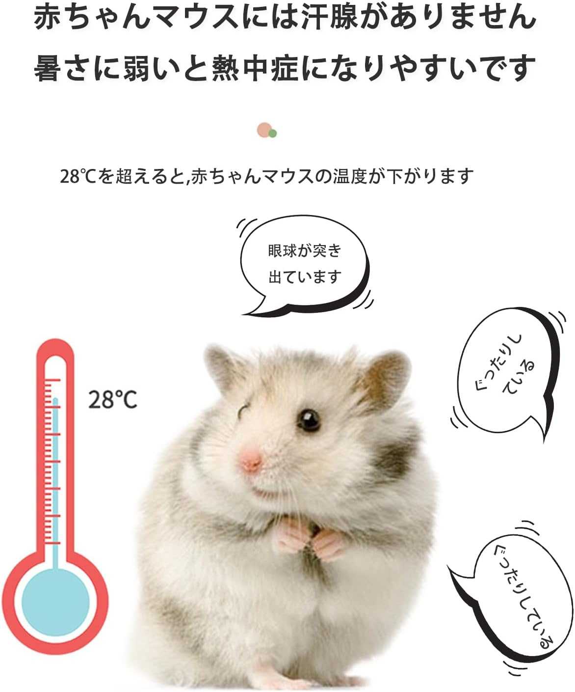 ＼12種類から選べる／ ハムスター 陶器 ハウス 涼感 ひんやり 隠れ家 家 かわいいハウス おへや おうち ベッド 寝床 日陰 日よけ ハムスターハウス 陶器 ハムスターベッド 隠れ家 涼感 夏用 ひんやり 冷房対策 暑さ対策 お休み所 快適 かわいい 洗える 飾り付け 掃除便利 3