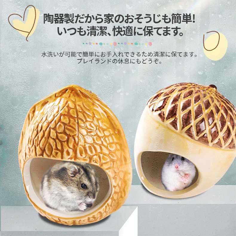 2点セット ハムスター ハウス 陶器 涼感 ひ...の紹介画像2