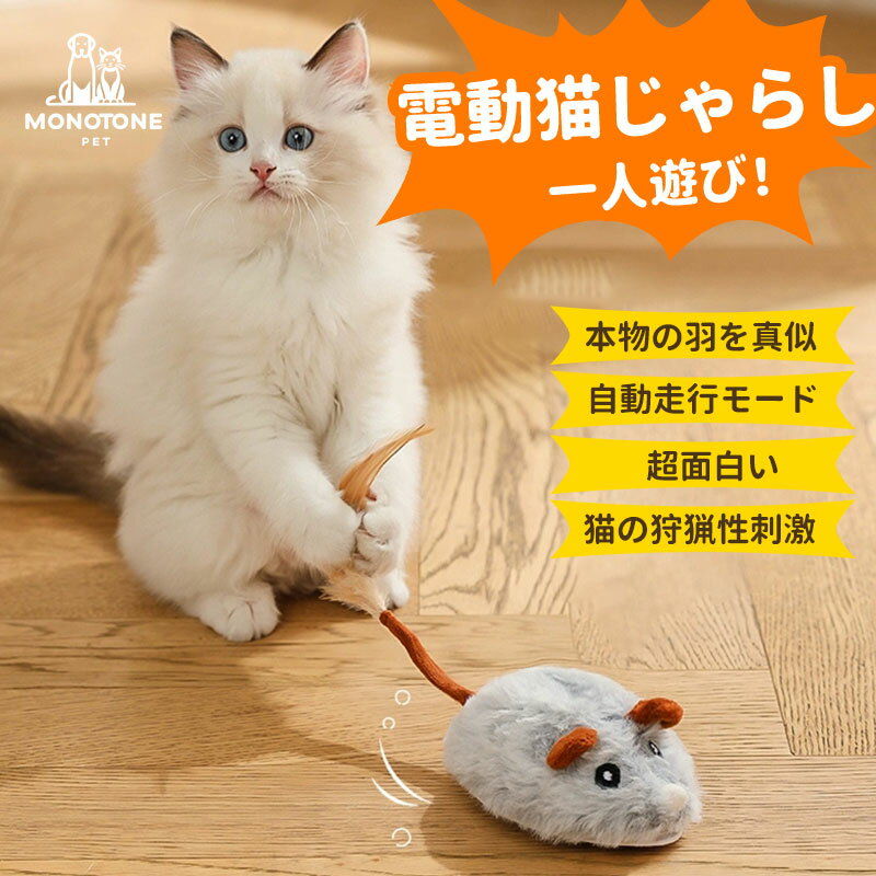 【ドギーマン】じゃれ猫 LEDニャンだろ～光線猫 ねこ おもちゃ 猫用 光 運動不足 ネコ ペット用品 ペット グッズ 用品 ペットグッズ