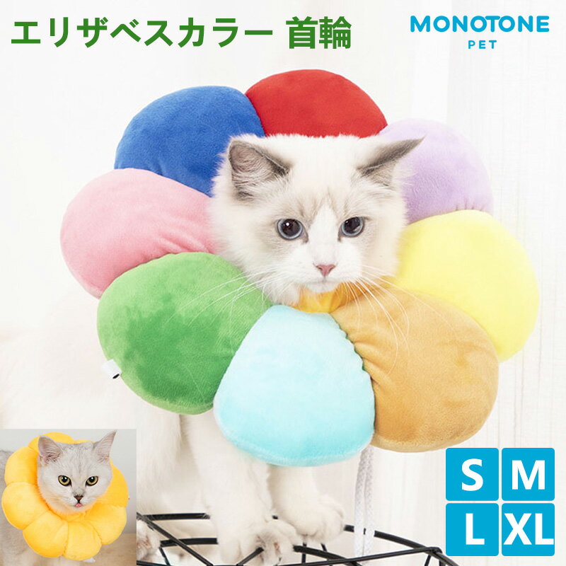 ꥶ٥顼  ǭ  ڥå  ǭ 餫  Ӥɻ Ѹ ɻ ڥåȲ Ķ  ...