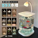 小型水槽 3.6Lコンパクト水槽キット LEDライト付き 水換え簡単 セットアップ・メンテナンス簡単 スタータータンク最適