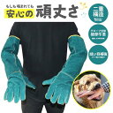 ペットグローブ セーフティグローブ62cm 犬 猫 防止 保護 傷防止 噛みつき 引っかき ペット 厚手 ロング 噛みつき防止 耐久性 通気性 耐摩耗性 耐熱性 牛革 安全 安心 動物 トレーニング 耐熱 腕 男女兼用 防御 爬虫類 園芸 しつけ 革 爪切り噛みつき防止 手袋