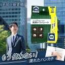 ハンカチ代わりにもなる携帯ドライシート 10枚入×3パック 汗拭きシート 携帯 使い捨て 清潔 防災用品 アイロン不要 汗拭き 男女兼用 子供 遠足 手拭き ラ...