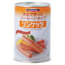 三育フーズ リンケッツ 大 400g
