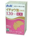 【お買い物マラソン!ポイント2倍!】シュワーベ ギンコ 120 60粒 2個セット 【送料無料】 (120EX)