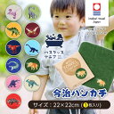 \クーポン有/ 【選べる11種】 今治タオル 認定 恐竜 刺繍入 ハンカチ 今治 今治タオル 今治ハンカチ 刺繍 恐竜 タオルハンカチ ハンカチタオル ハンカチ...