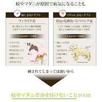 メイドオブオーガニクスアウトドアスプレー【メイドオブオーガニクスフォードッグ】【メイド・オブ・オーガニクスアウトドアスプレー】【メイドオブオーガニック】【オーガニックアウトドアスプレー犬】