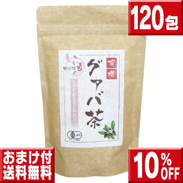 有機栽培　国産 グァバ茶120包　送料無料 グアバ茶 有機栽培 国産 グァバ茶 ティーパック ガバ茶