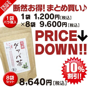 有機栽培 国産 グァバ茶120包 送料無料 グアバ茶 有機栽培 国産 グァバ茶 ティーパック ガバ茶