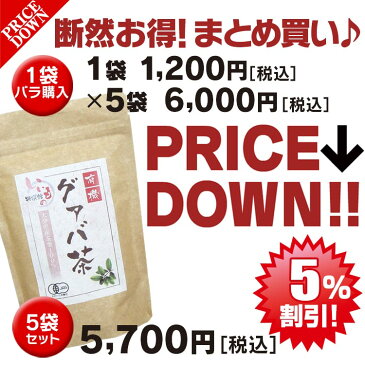 有機栽培 国産 グァバ茶 75包 送料無料 グアバ茶 有機栽培 グァバ茶 国産 ティーパック ガバ茶